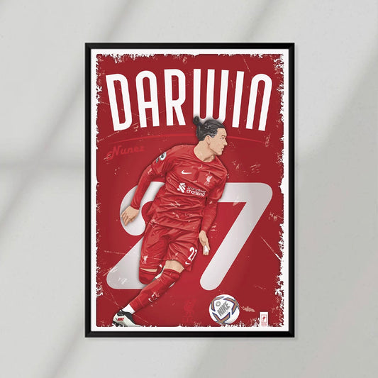 Darwin Poster