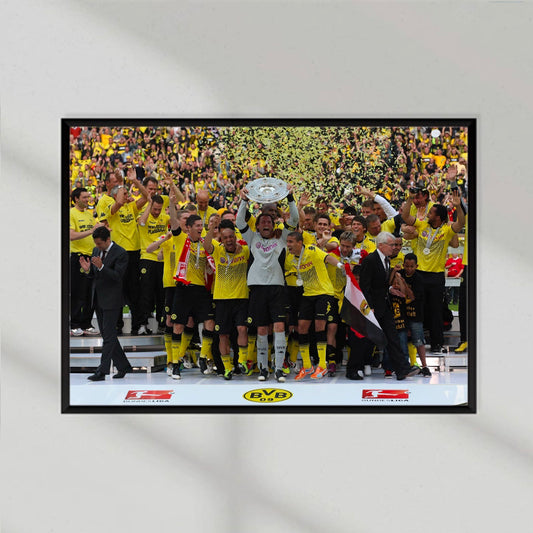 BVB 2011 Winners Poster